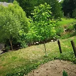 Holiday home Maciejowka Stara Cervena Voda