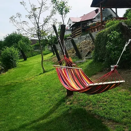 Maciejowka *