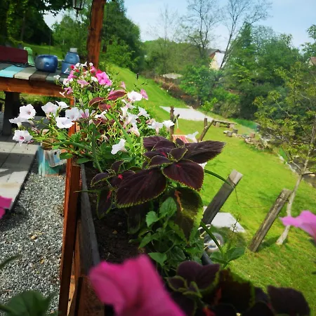 Maciejowka Holiday home