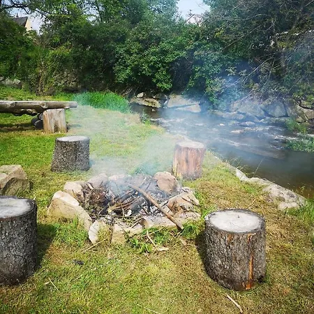 Maciejowka