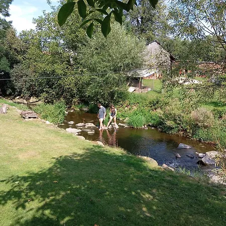Maciejowka